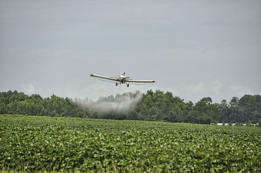 airplane-crop-duster-dangerous-agriculture